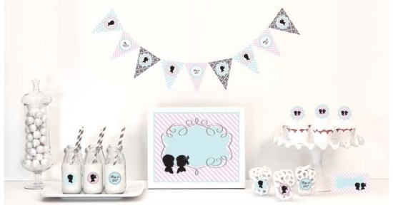 gender reveal kit