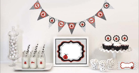 ladybug kit