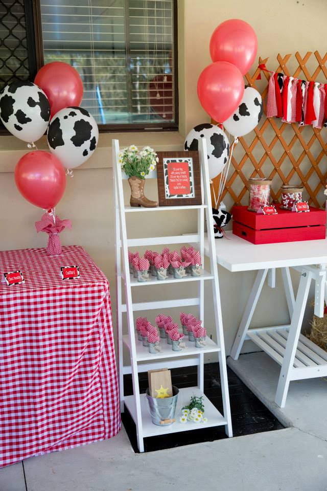 Colorful Country Party – Baby Shower Ideas 4U