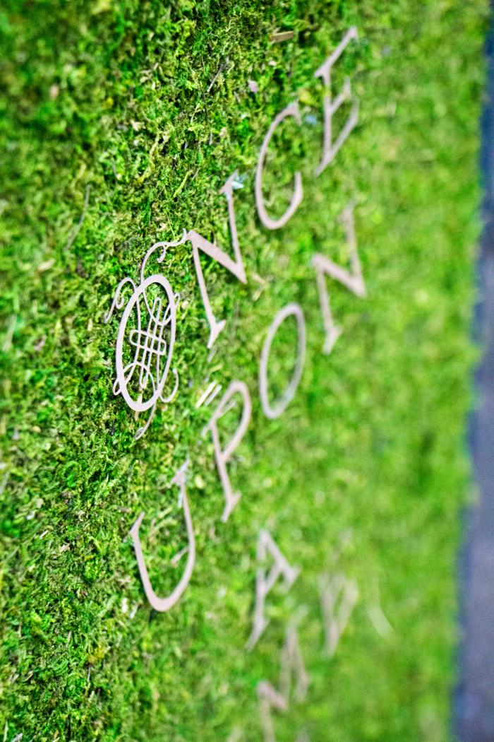 once upon a time in an enchanted wood