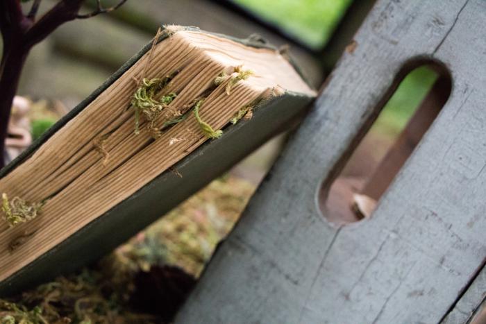 moss covered old book