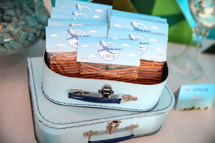 airplane check in luggage decoration