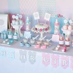 Pink or Blue Baby Gender Reveal Party