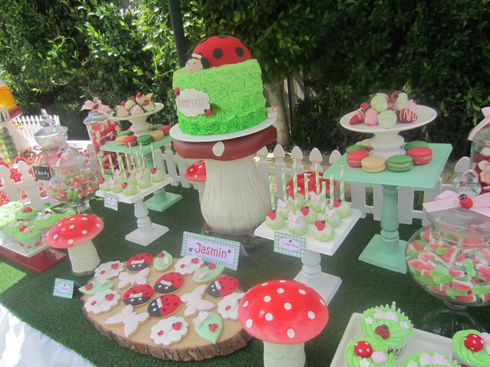 outdoor ladybug garden baby shower
