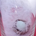 This Chick is “about to hatch” baby shower