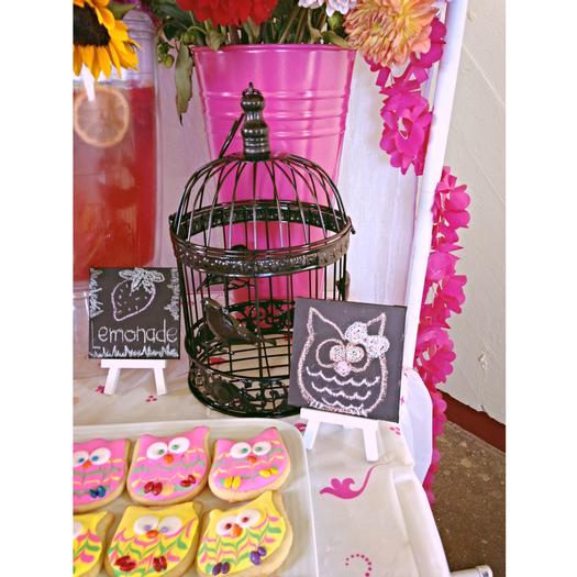 birdcage owl picture on a mini chalkboard