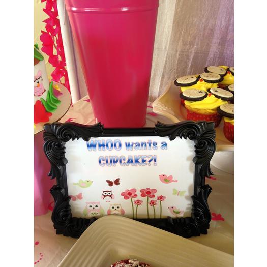 Whoo Owl Baby Shower decoration inspirations cupcakes