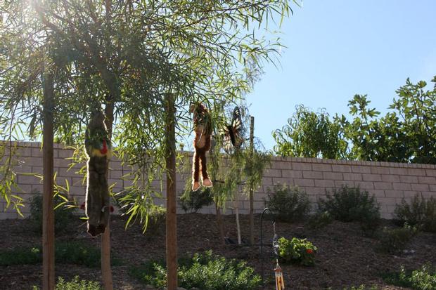 Safari Themed Surprise Baby Shower hanging monkey props photo booth