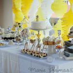 Gender Reveal Baby Shower Party