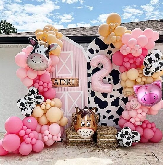 Farm Party Decoration