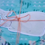 Under the Sea Baby Shower