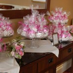 Nesting Themed Baby Shower