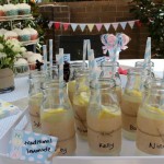 Boy or Girl Baby Shower Theme