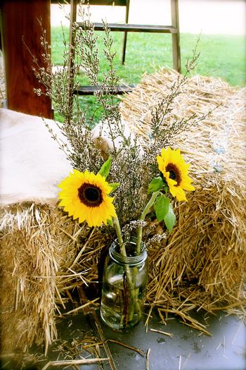 cowgirl baby shower brunch, name tags, cowgirl party ideas, decors