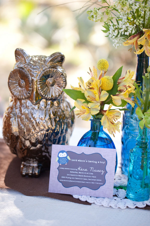 Grow Wise Little Owl Baby Shower - Baby Shower Ideas 4U