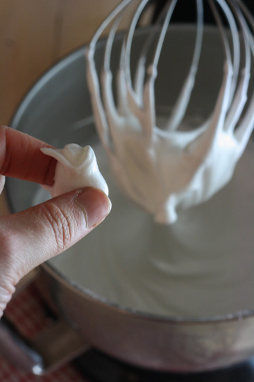 Whisk until soft peaks just form
