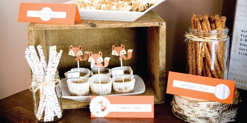 fox themed baby shower boy