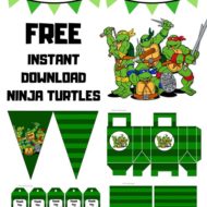 Free Ninja Turtles Printable