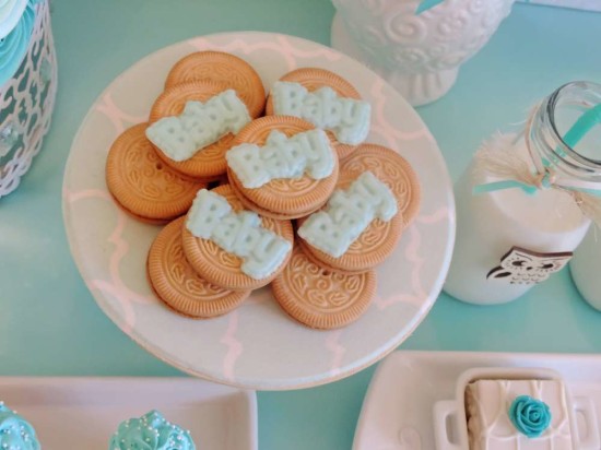 welcome-home-owl-baby-shower-ideas-cookies