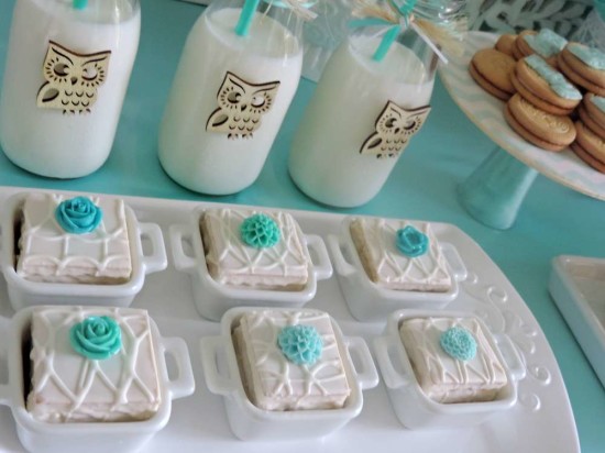 welcome-home-owl-baby-shower-ideas-dessert-table-food