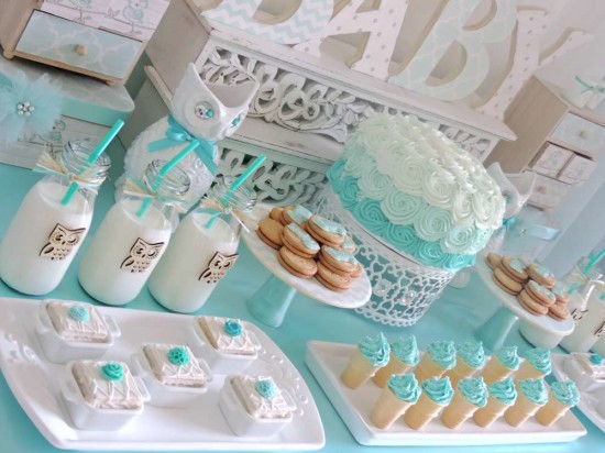 welcome-home-owl-baby-shower-ideas-dessert-table-idea