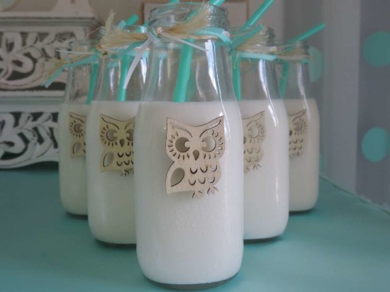 welcome-home-owl-baby-shower-ideas-milk-jars