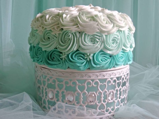 welcome-home-owl-baby-shower-ideas-ombre-cake