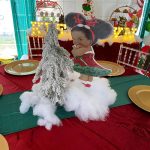 Christmas Baby Shower Ideas