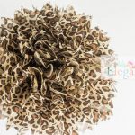 Zoo Baby Shower Decoration Ideas