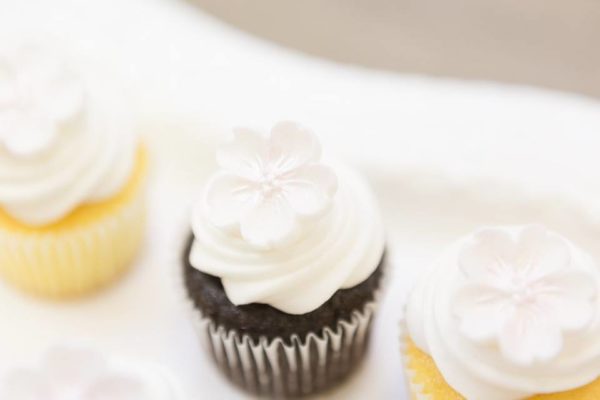 pastel-you-are-my-sunshine-shower-chocolate-cupcakes