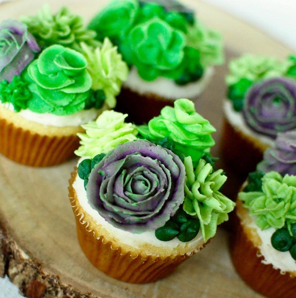 succulent cupcakes