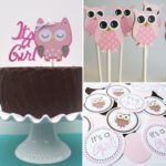 Owl Themed Baby Shower Decorations and Party Favors