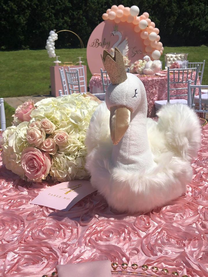 Pink Swan 5-Piece Newborn Set main image 0