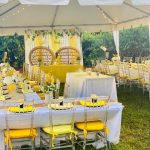 Backyard Lemonade Stand Baby Shower