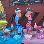 Exciting Gender Reveal Party Themes and Photos