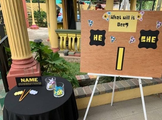 boy or girl bee gender reveal