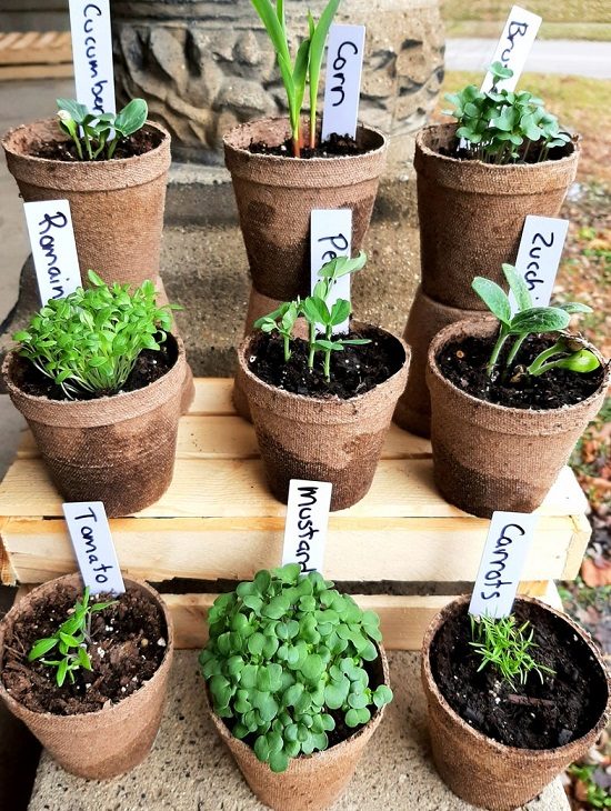 Herb garden kit activity station