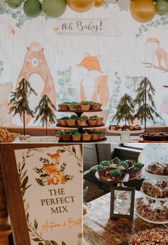 showered-with-adorable-woodland-baby-shower