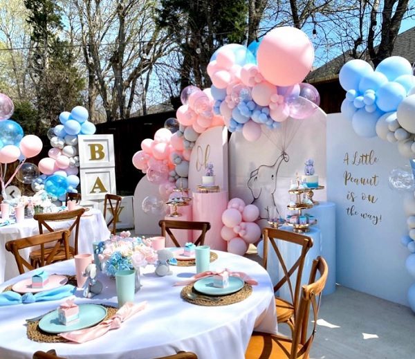 beautiful elephant gender reveal Baby shower