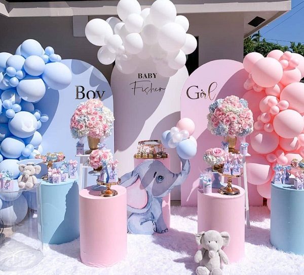 boy or girl elephant gender reveal