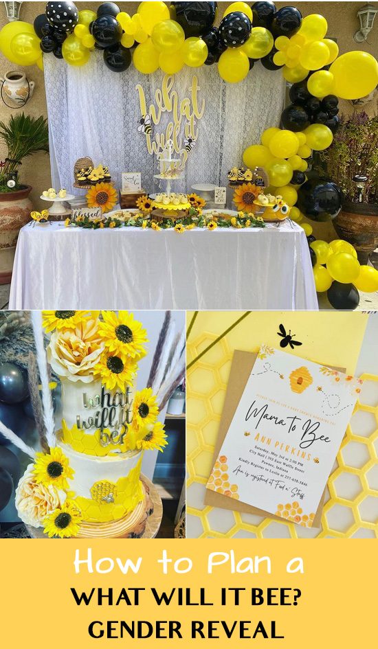 how to plan what will it bee gender reveal party