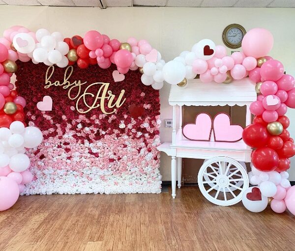 Valentine themed baby shower backdrop decorations