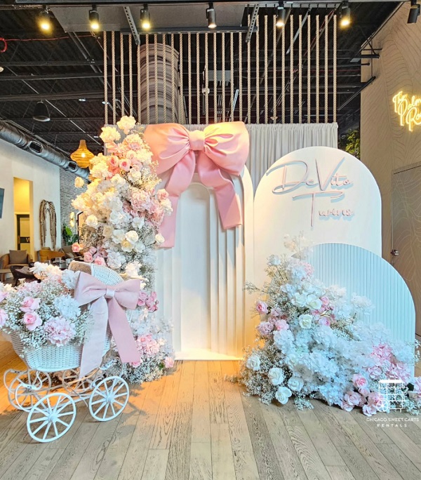 Bow Theme Baby Shower backdrop decorations