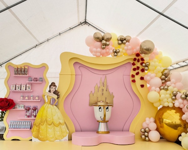 Princess Belle themed party props