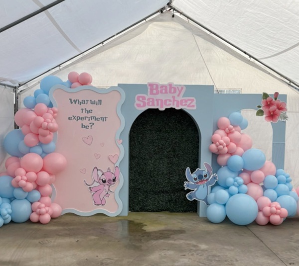 Baby stitch or Baby Angel gender reveal