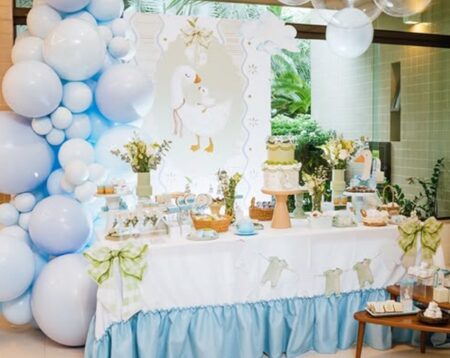 charming goose baby shower for boy