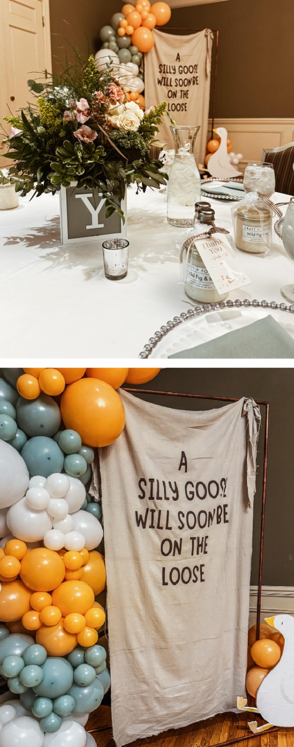 silly goose is on the loose party backdrop and balloons